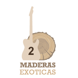 🪵 Kit de construcción maderas Guitarra eléctrica Nº2 ⭐️⭐️ (Lenga - Maple - Maple)