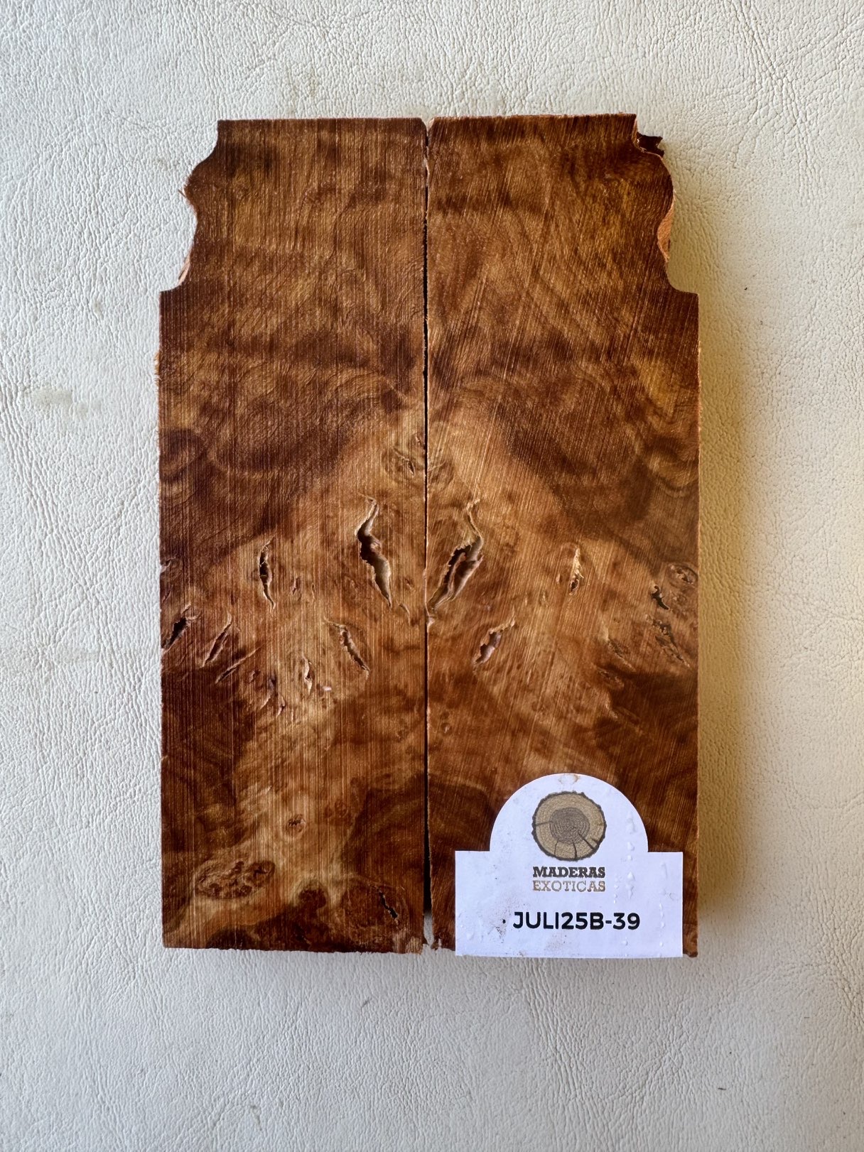 Cachas burl de Coihue (JULI25B-39) 1 Cachas burl de Coihue (JULI25B-39)