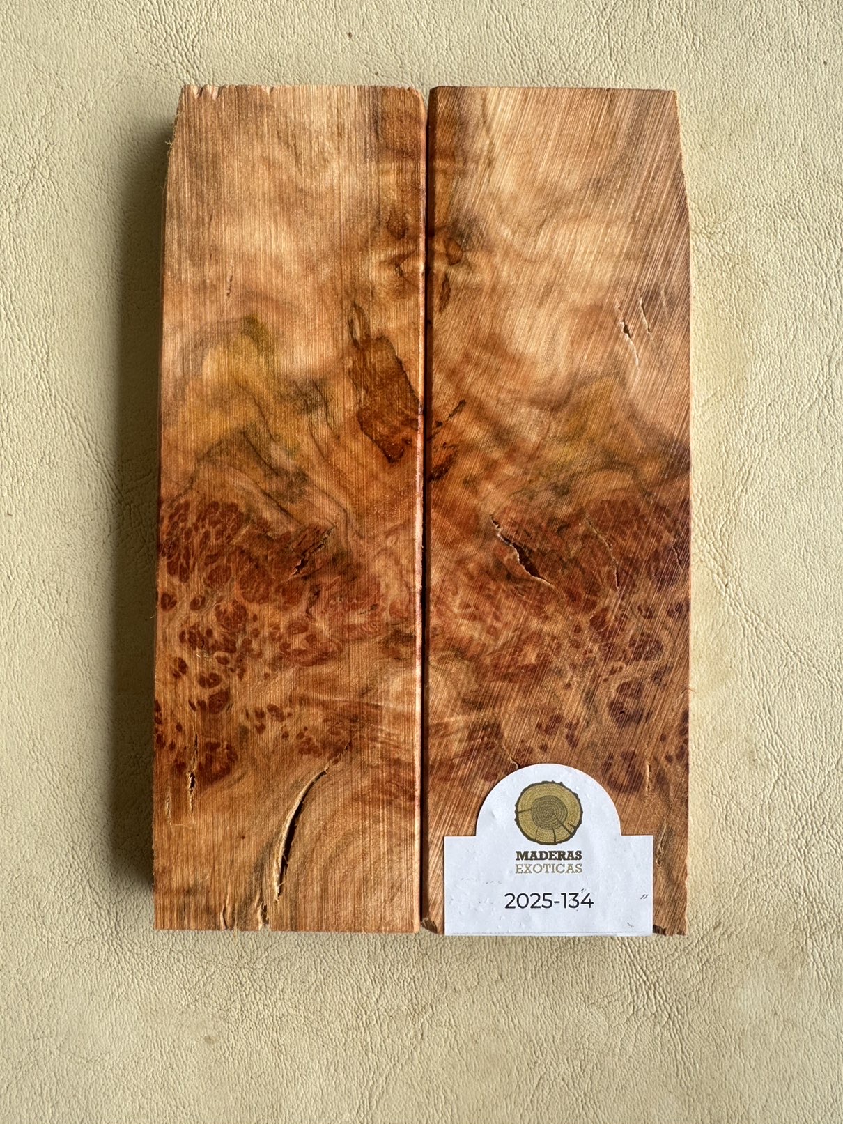 Cachas burl de Coihue (2025-134) 1 Cachas burl de Coihue (2025-134)