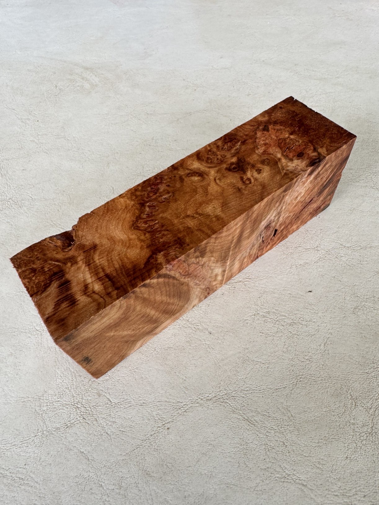 Taco Burl de Coihue (2025-112) 2 Taco Burl de Coihue (2025-112) - Imagen 2