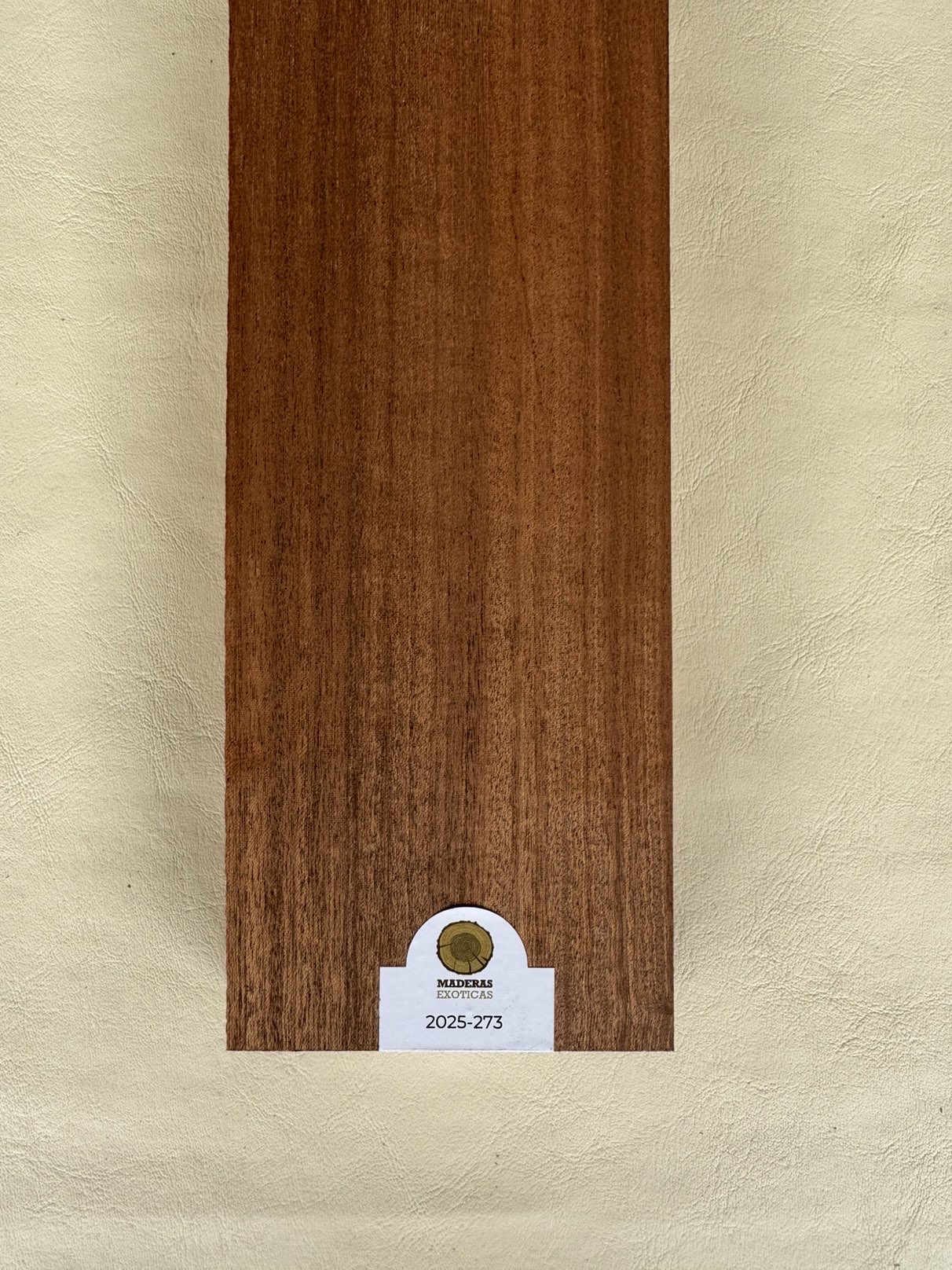 Mango Caoba africana radial guitarra electrica 1" (2025-273) 3 Mango Caoba africana radial guitarra electrica 1" (2025-273) - Imagen 3