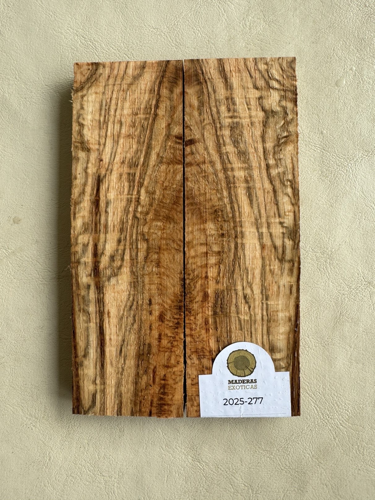 Cachas raiz de Roble americano (2025-277) 1 Cachas raiz de Roble americano (2025-277)