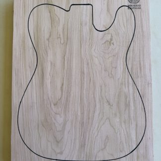 Cuerpos Lenga para Guitarra eléctrica