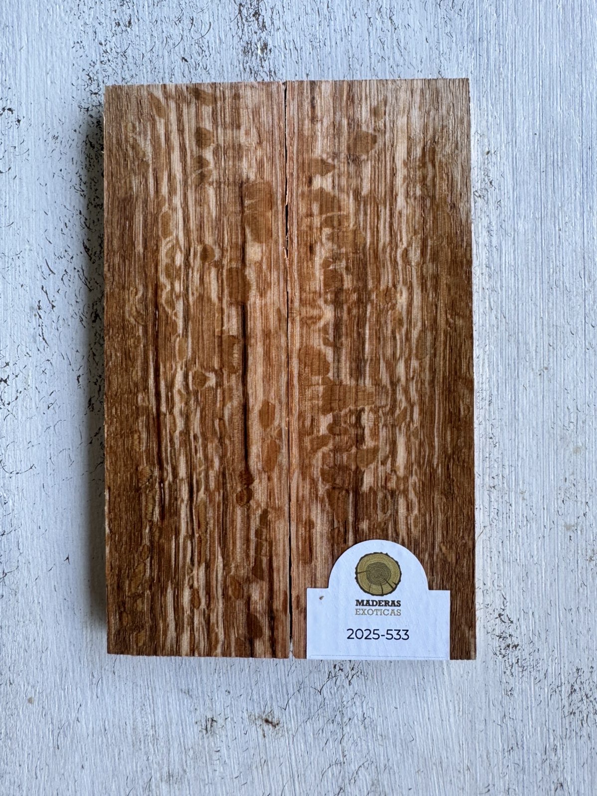 Cachas Roble americano Wavy Grain (2025-533) 1 Cachas Roble americano Wavy Grain (2025-533)