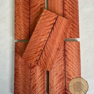 Cachas Rostrata flameada