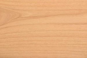 Aliso (Alder)