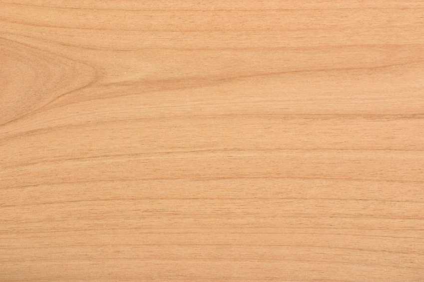 Aliso (Alder)