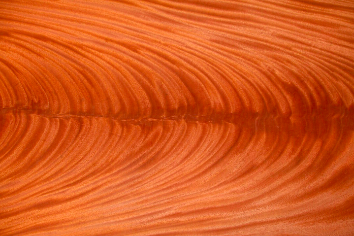 Entrepiso o Pluma (Crotch Wood)