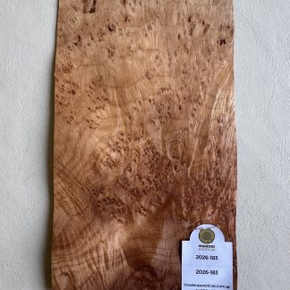 Chapa Burl Veneer Premium para Sobrecabeza (2026-183)