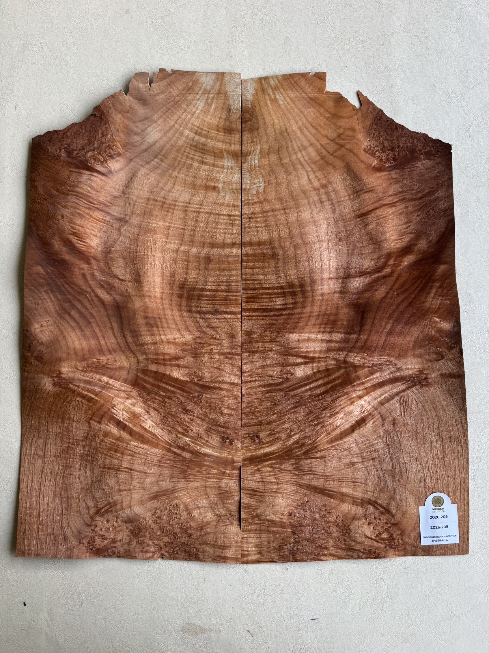 Chapa Madroña burl para cuerpo de guitarra - bajo (2026-205) 2 Chapa Madroña burl para cuerpo de guitarra - bajo (2026-205) - Imagen 2
