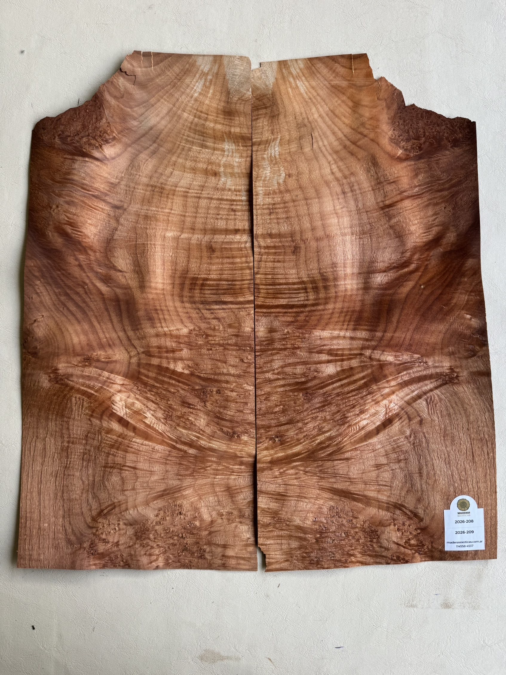 Chapa Madroña burl para cuerpo de guitarra - bajo (2026-208) 2 Chapa Madroña burl para cuerpo de guitarra - bajo (2026-208) - Imagen 2