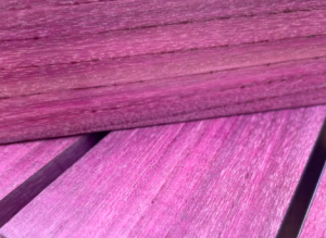 Purple Heart (Amaranto)