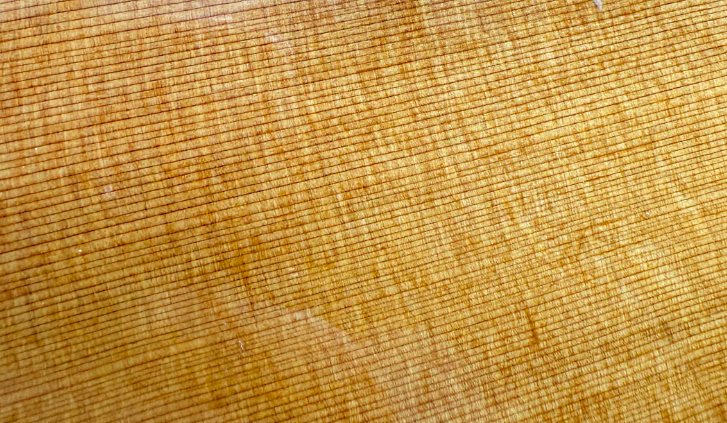 Sedas o Espejuelo (Medullary Rays / Silk)