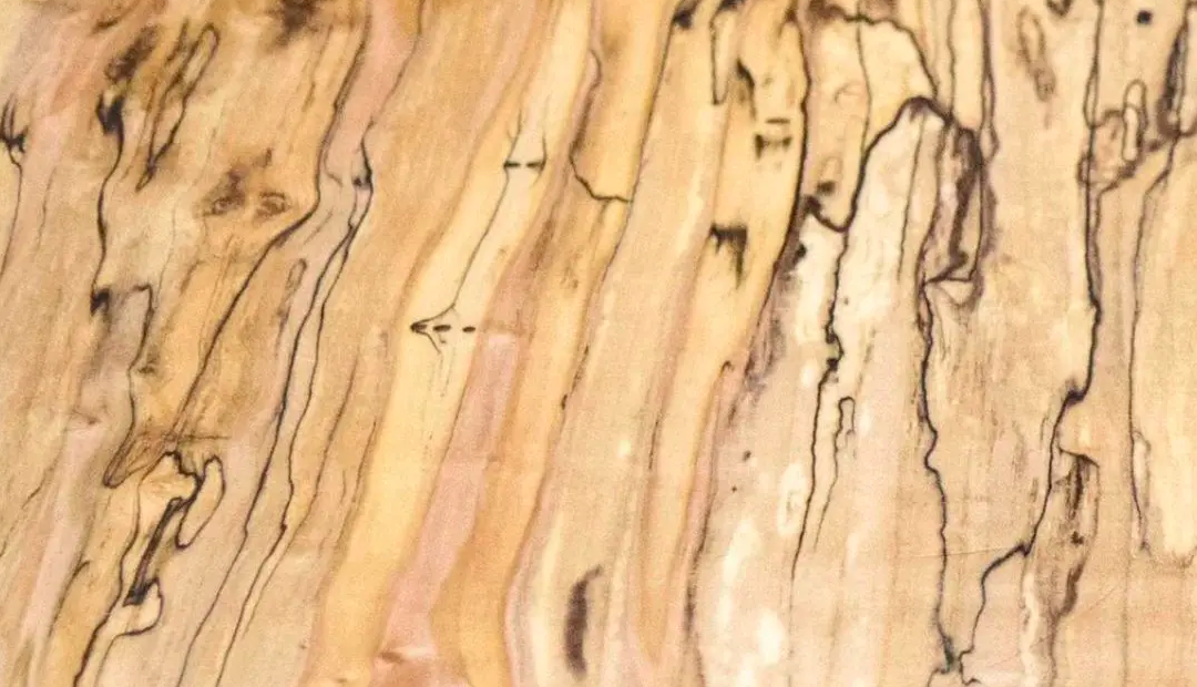 Spalted