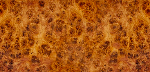 burl