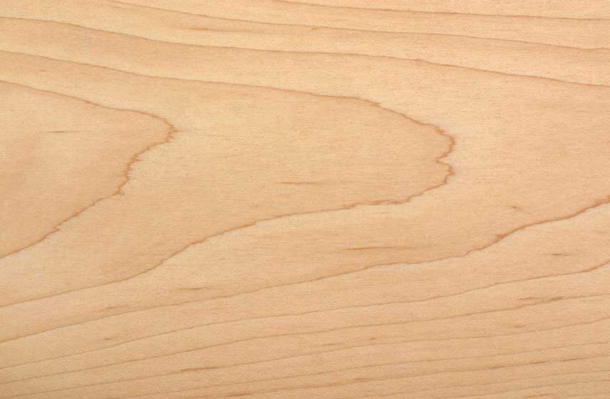 maple 1