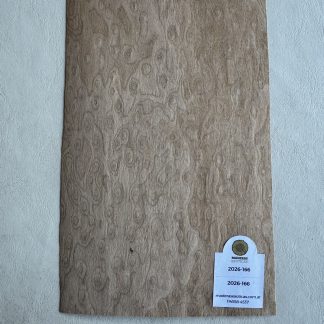 Chapa especie desconocida para Sobrecabeza (2026-166)