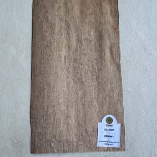 Chapa especie desconocida para Sobrecabeza (2026-167)