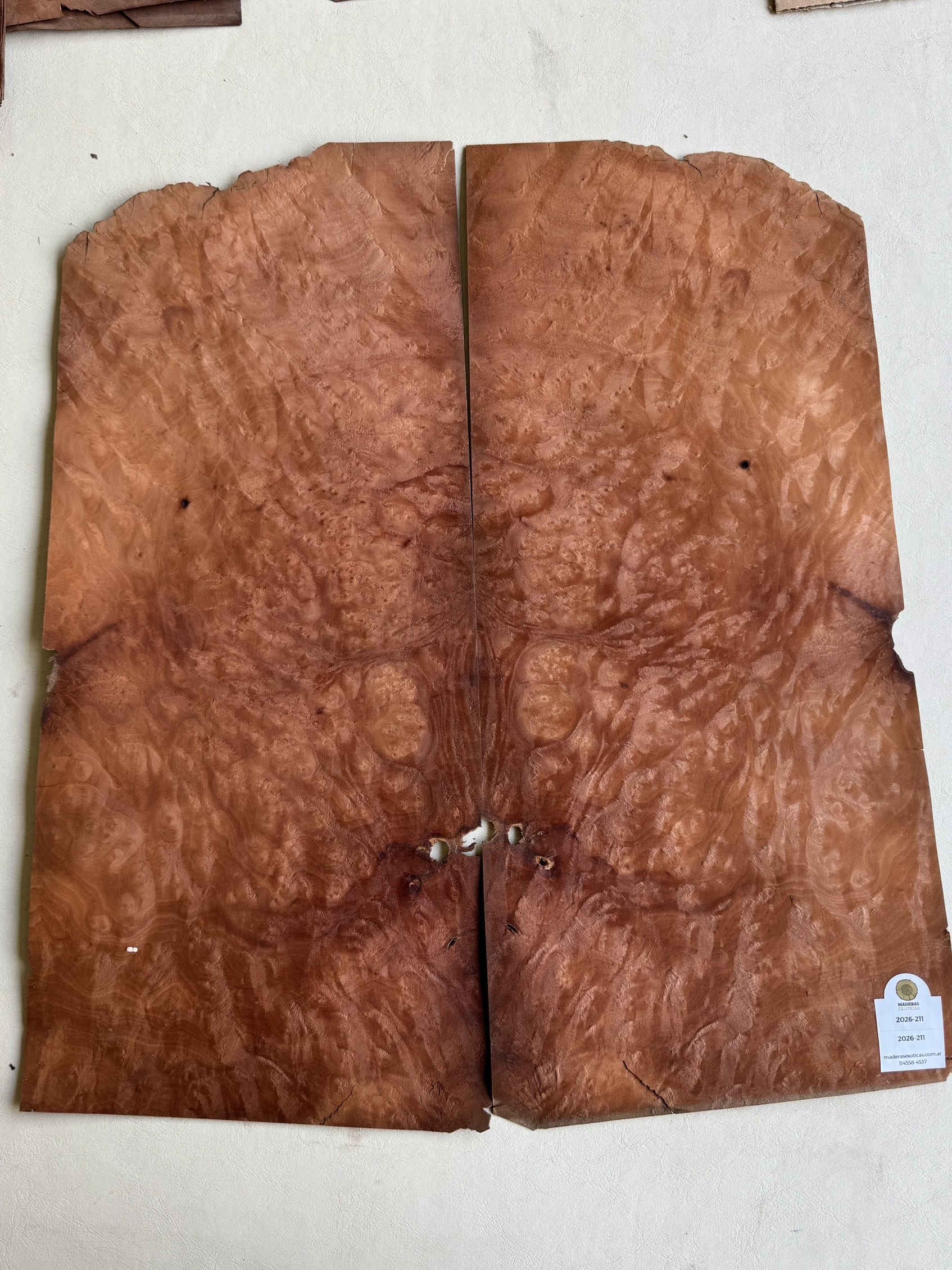 Chapa raiz/burl de Imbuia para cuerpo de guitarra - bajo (2026-211) 2 Chapa raiz/burl de Imbuia para cuerpo de guitarra - bajo (2026-211) - Imagen 2