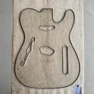 Chapa especie desconocida (2026-314)
