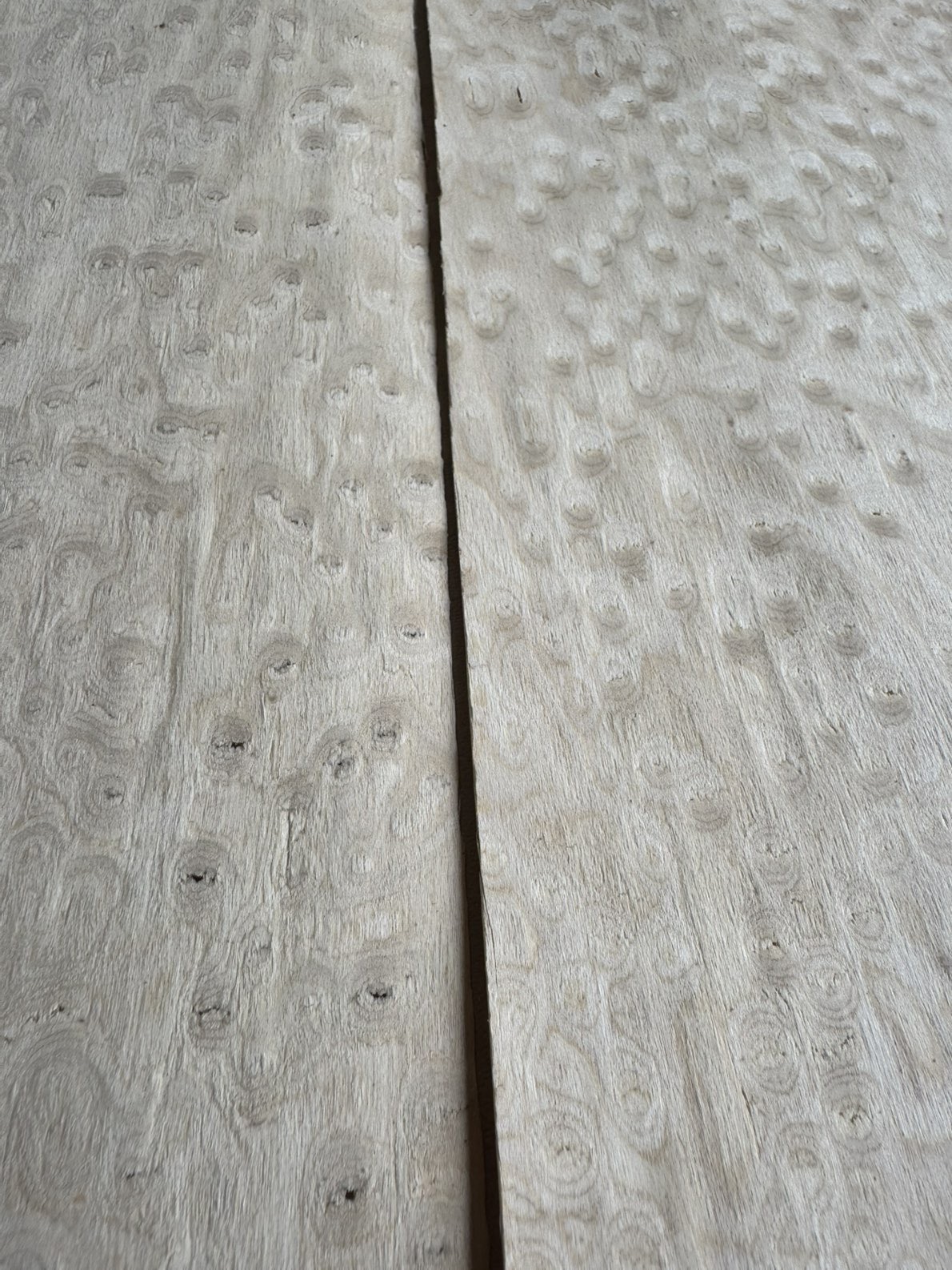 Chapa especie desconocida (2026-318) 2 Chapa especie desconocida (2026-318) - Imagen 2