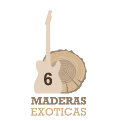 🪵 Kit de construcción maderas Guitarra eléctrica Nº6 ⭐️⭐️⭐️⭐️⭐️⭐️ (Fresno - Maple - Maple))