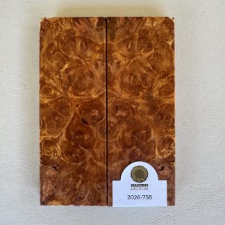 🔪 Cachas burl de Coihue para cuchillería (2026-758)